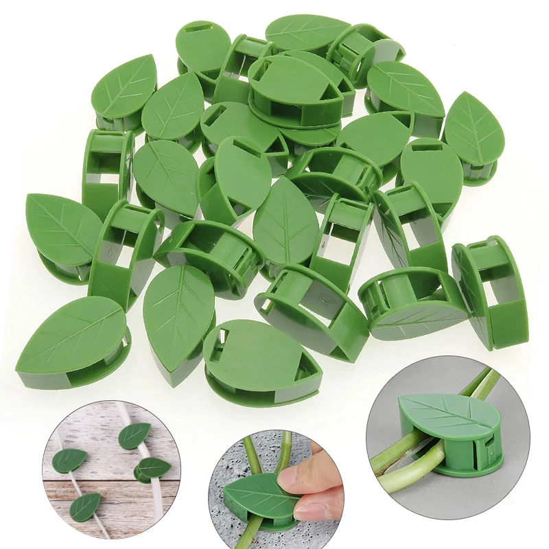 1-50Pcs invisible plant wall c - огляд і ціна Plant Parent