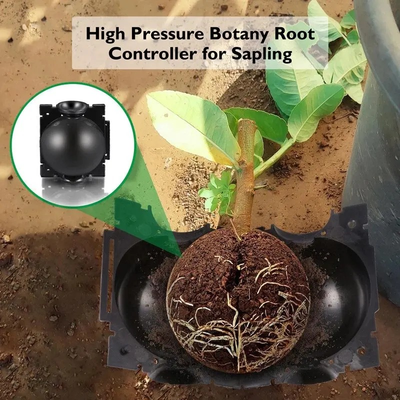 5/30Pcs Plant Rooting Ball Gra - огляд і ціна Plant Parent
