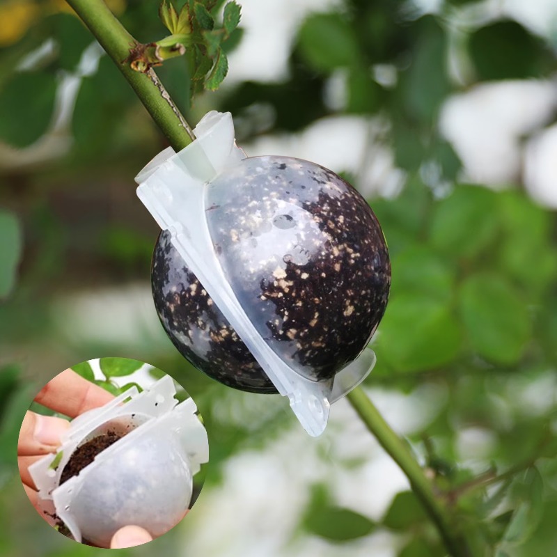 5/30Pcs Plant Rooting Ball Gra - огляд і ціна Plant Parent