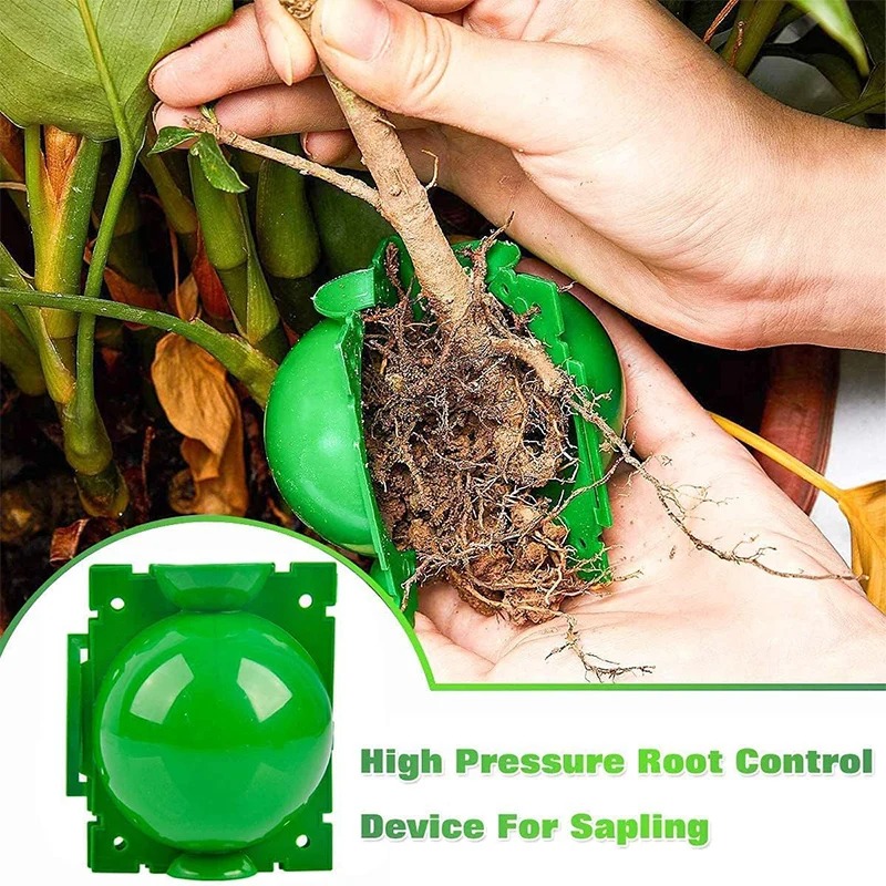5/30Pcs Plant Rooting Ball Gra - огляд і ціна Plant Parent