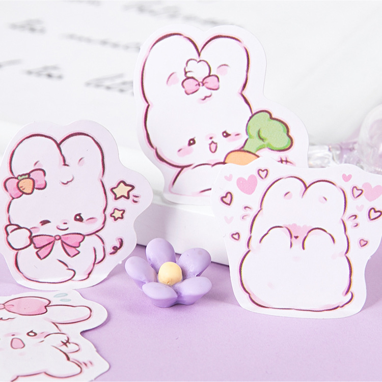 45 pcs/box Cute rabbit daily K - огляд і ціна Planned Parenthood