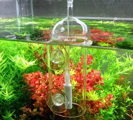 VIV Do Device Aquarium Cylinde - огляд і ціна Plant Parent