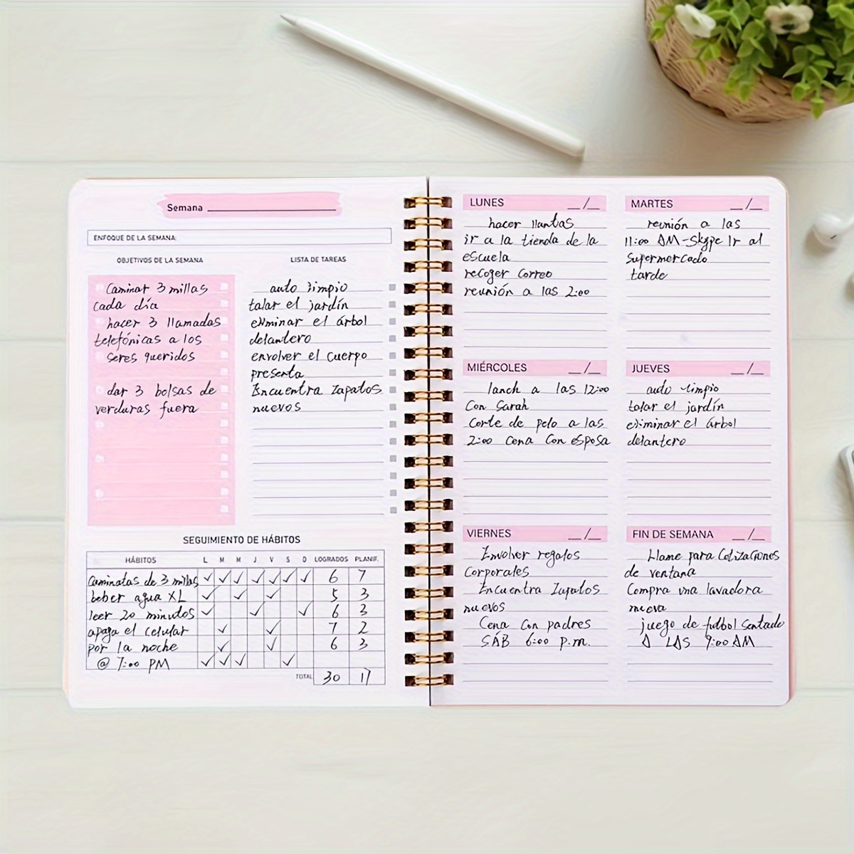 52 Week English Weekly Planner - огляд і ціна Planned Parenthood