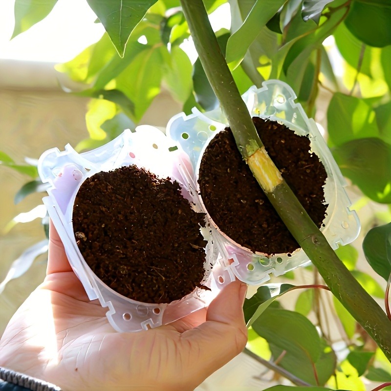 10pcs Plant Propagation Box Se - огляд і ціна Plant Parent
